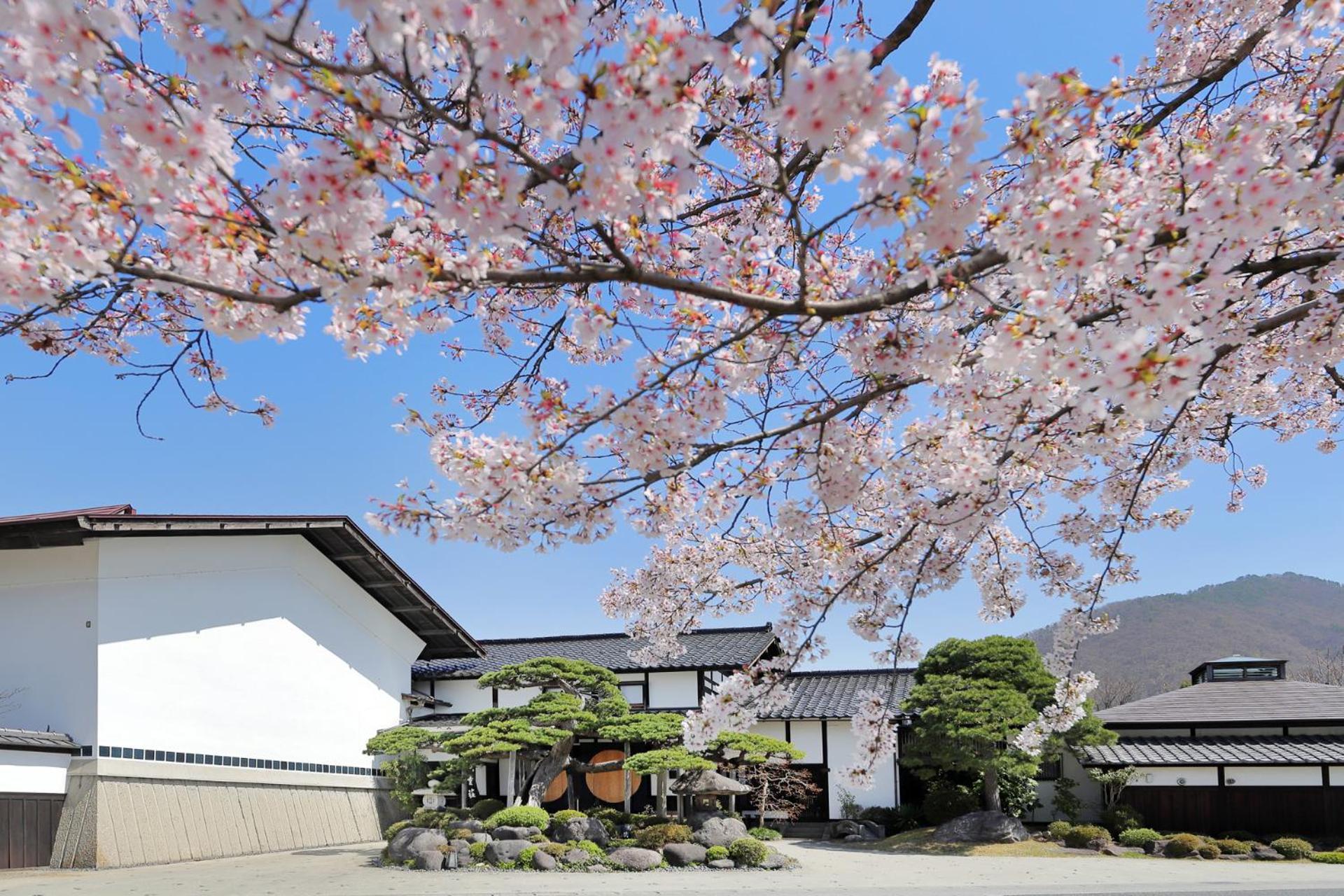 天童荘 Tendoso Eksteriør billede